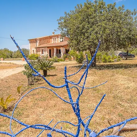 Alba Villa *
