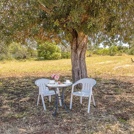 Villa Alba
